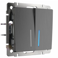 Werkel мех. выкл. СУ 2 кл. 10A проходной (инд.) (графит рифл) ( a046619)W1122104 a050757