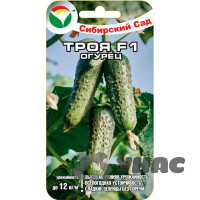 Огурец Троя СибСад Ц