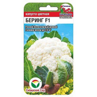 Капуста цветная Беринг СибСад