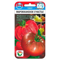 Томат Марокканское счастье СибСад Ц