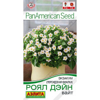 Эказум (Персидская фиалка) Роял дэйн вайт Аэлита Ц
