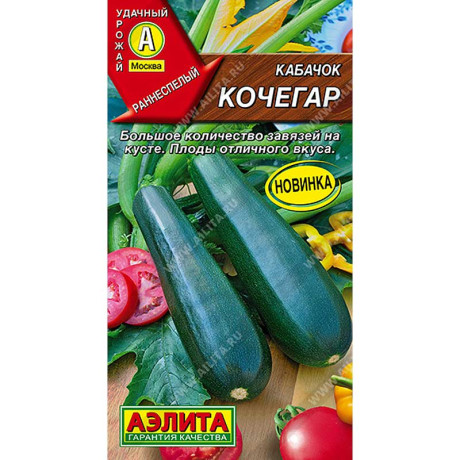 Кабачок Кочегар цуккини Аэлита Цх10