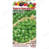 Капуста брюссел. Боксер Гавриш Ц