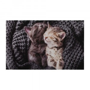 Коврик влаговпитывающий "Samba" 50*80 см. "Милота", котята VORTEX