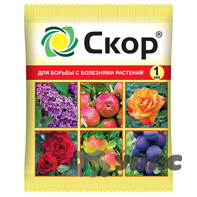 Скор 1 мл (от парши на плодовых) Ваше Хозяйство