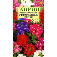Вербена Очаровательные глазки низкая Гавриш Ц