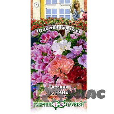 Годеция Есения Гавриш Ц