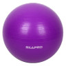 SILAPRO Мяч для фитнеса гимнастический, нагрузка до 80кг, d 65см, ПВХ, 4 цвета