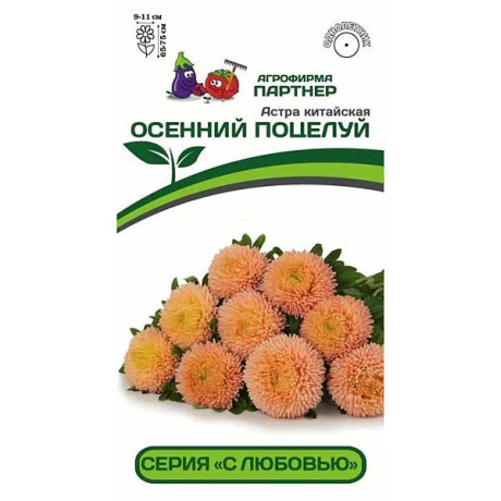 Астра Осенний поцелуй Партнер Ц