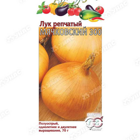 Лук Мячковский репч. Гавриш Ц