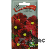 Космея Яхонт красный Поиск Ц