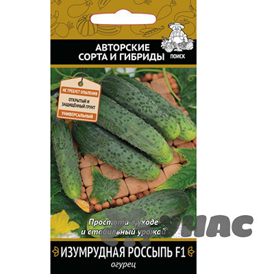 Огурец Изумрудная россыпь Поиск Ц