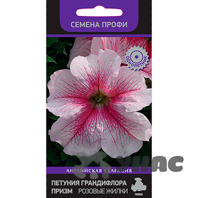 Петуния Призма Розовые жилки гранд. Поиск Ц