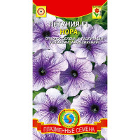 Петуния Нора Плазма Ц