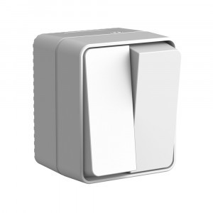 Systeme Electric AtlasDesign Profi54 выкл. ОУ 2 кл. 10А бел. (IP54) серый ATN543051 (12!)