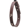 Ошейник 46*2 см полиуритан МИКС NA2623 (480)