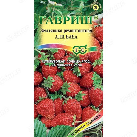 Земляника Али Баба Гавриш Ц