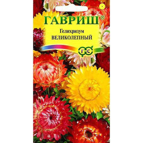 Гелихризум Великолепный смесь Гавриш Ц