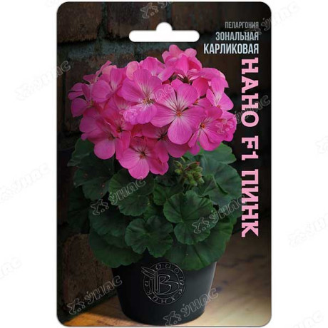 КОМ Пеларгония Нано Пинк карликов Биотехника Ц