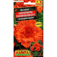 Ком Бегония Америгибрид мандарин оранж Аэлита Ц