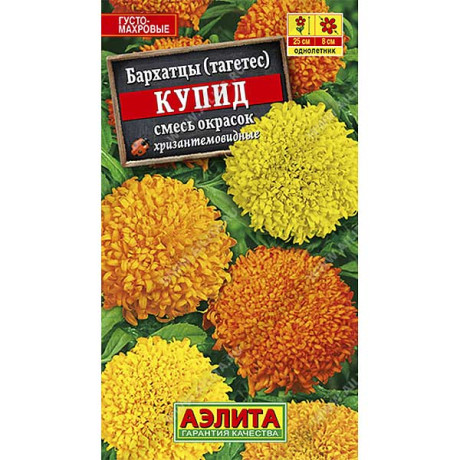 Бархатцы Купид смесь хризантемов. Аэлита Ц