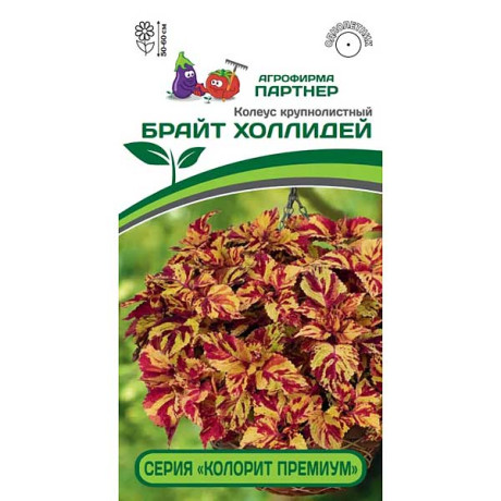 Колеус Брайт Холлидей Партнер Ц