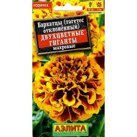 Семена Бархкатцы Двухцветные гиганты Аэлита Ц х10