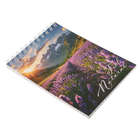 Блокнот А6, 40 листов, офсет, обложка картон, спираль, в клетку, в ассортименте