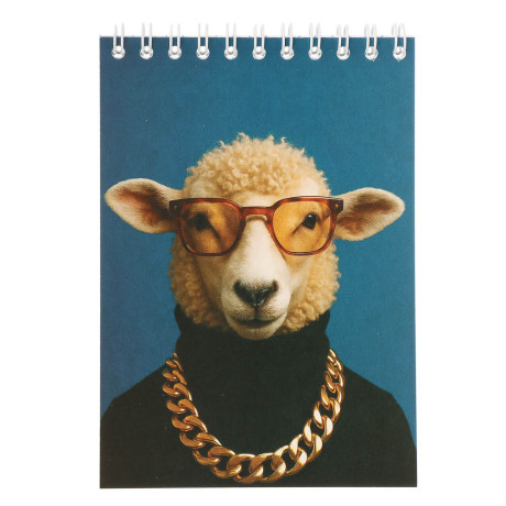 Блокнот А6, 40 листов, офсет, обложка картон, спираль, в клетку, в ассортименте