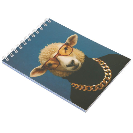 Блокнот А6, 40 листов, офсет, обложка картон, спираль, в клетку, в ассортименте