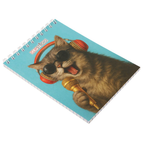 Блокнот А6, 40 листов, офсет, обложка картон, спираль, в клетку, в ассортименте