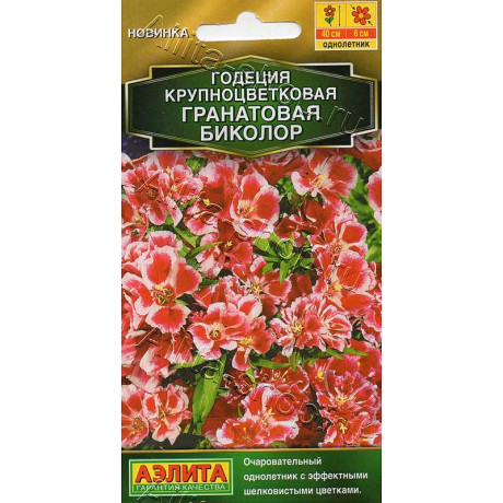 Годеция Гранатовая Биколор Аэлита