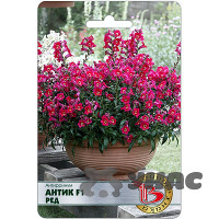 Антирринум Антик F1 Ред Биотехника Ц