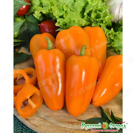 Перец Апельсин НК Ц