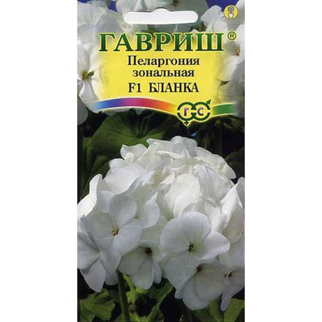 КОМ Пеларгония Бланка Гавриш Ц