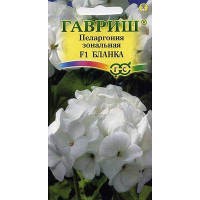 КОМ Пеларгония Бланка Гавриш Ц