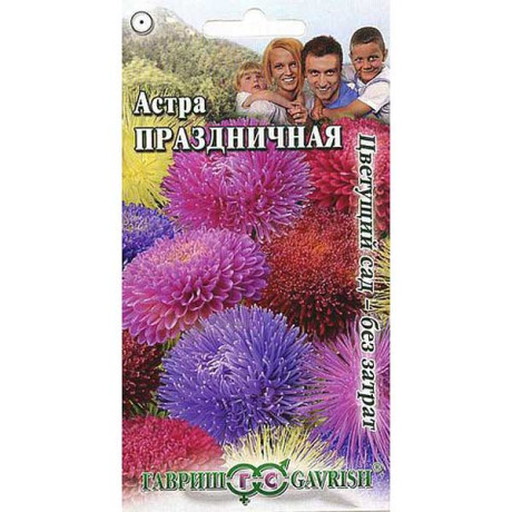 Астра Праздничная смесь Гавриш Ц