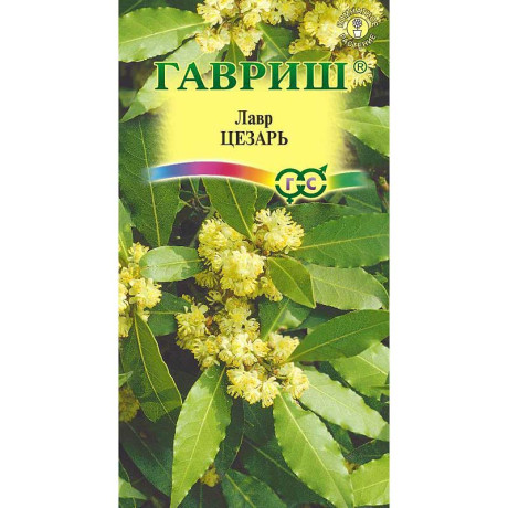 КОМ Лавр Цезарь Гавриш Ц