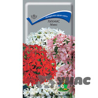 Лихнис Микс Поиск Ц