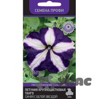 Петуния Танго синяя с белой звездой Поиск Ц