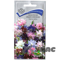 Аквилегия Барлоу смесь Поиск Ц