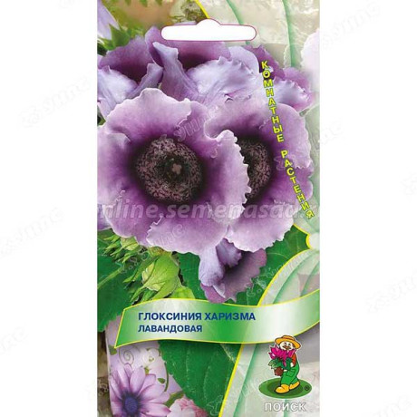 КОМ Глоксиния Харизма Лавандовая Поиск Ц