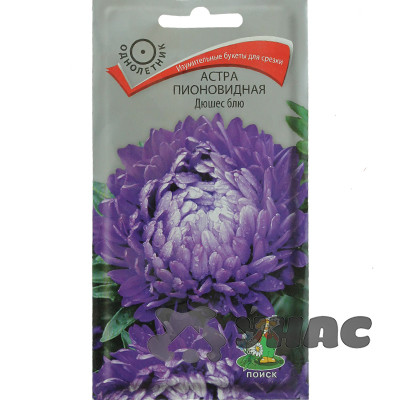 Астра Дюшес блю Поиск Ц