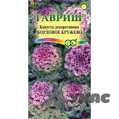 Капуста декор. Бордовое кружево Гавриш Ц