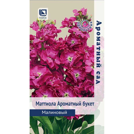 Маттиола Ароматный Букет малиновый Поиск Ц