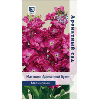 Маттиола Ароматный Букет малиновый Поиск Ц