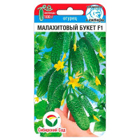 Огурец Малахитовый букет СибСад Ц