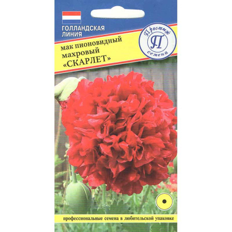 Мак пионовидный махровый Скарлет Престиж Ц