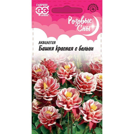 Аквилегия Башня красная с белым Гавриш Ц