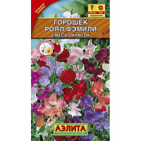 Душистый горошек Роял Фэмили  Аэлита Ц